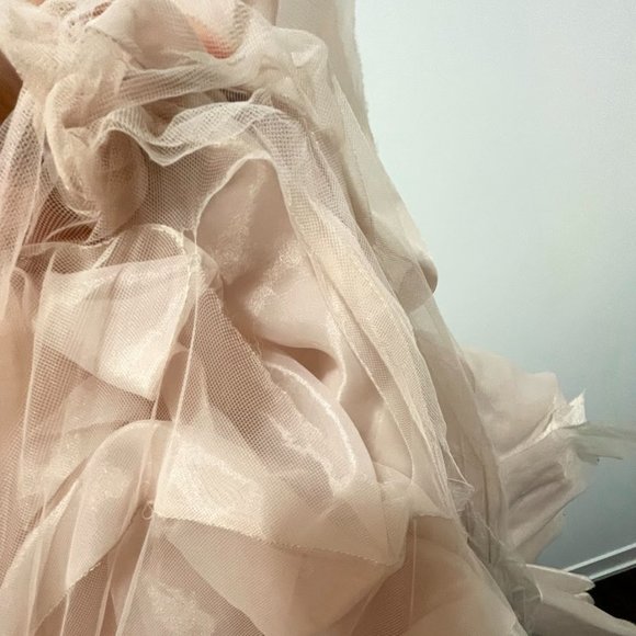 Vera Wang Blush Pink Wedding Gown Size 0 - Picture 16 of 16